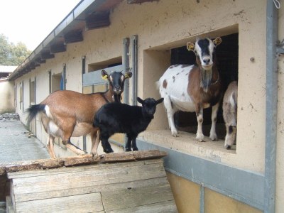 Farmhouse Farmhouse in Umbria near Palazzo Bourbon - Outdoor photo 39