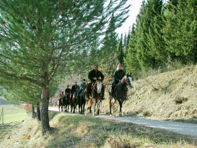 Farmhouse Farmhouse in Umbria near Palazzo Bourbon - Outdoor photo 40