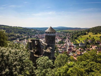 Apartment Wohnung Steinbach nahe Skihalle Oberhof - Environment photo 22