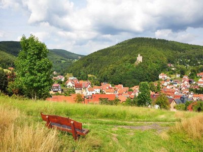 Apartment Wohnung Steinbach nahe Skihalle Oberhof - Environment photo 25