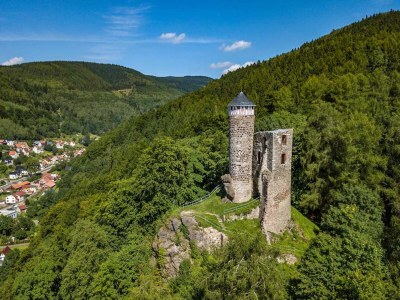 Apartment Wohnung Steinbach nahe Skihalle Oberhof - Outdoor photo 27