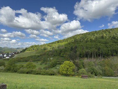 Holiday house Ferienhaus Sackpfeifenblick, Hatzfeld - Environment photo 48