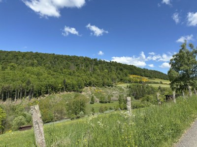 Holiday house Ferienhaus Sackpfeifenblick, Hatzfeld - Environment photo 49