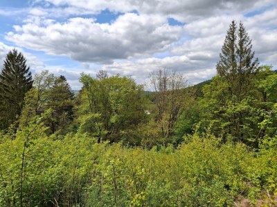 Holiday house Ferienhaus Sackpfeifenblick, Hatzfeld - Environment photo 52