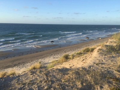 Holiday house 4 Personen Ferienhaus in Læsø-By Traum - Outdoor photo 22