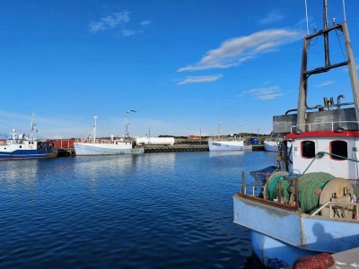 Holiday house 4 Personen Ferienhaus in Læsø-By Traum - Outdoor photo 31