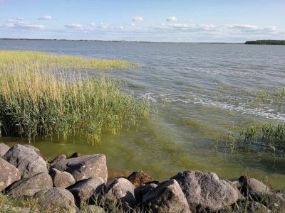 Holiday house Gemütliches Ferienhaus in Asserbo - Outdoor photo 10