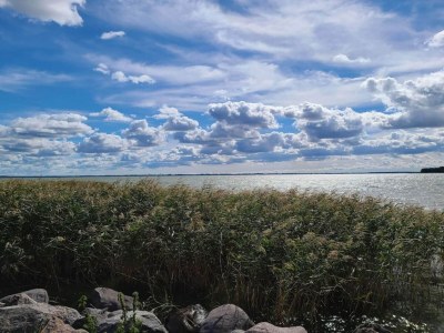 Holiday house Gemütliches Ferienhaus in Asserbo - Outdoor photo 15