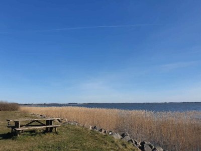 Holiday house Gemütliches Ferienhaus in Asserbo - Outdoor photo 16