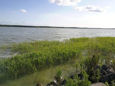 Holiday house Gemütliches Ferienhaus in Asserbo - Outdoor photo 26