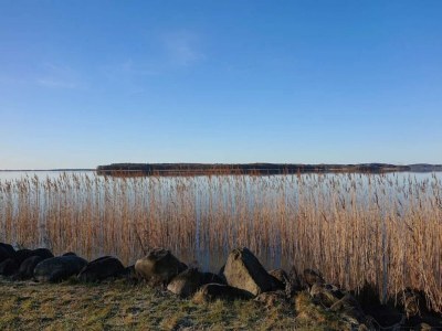 Holiday house Gemütliches Ferienhaus in Asserbo - Outdoor photo 27