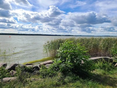 Holiday house Gemütliches Ferienhaus in Asserbo - Outdoor photo 38