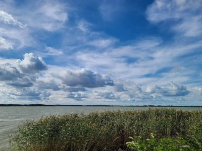Holiday house Gemütliches Ferienhaus in Asserbo - Outdoor photo 39