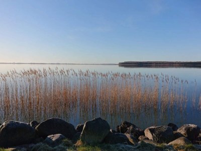 Holiday house Gemütliches Ferienhaus in Asserbo - Outdoor photo 40