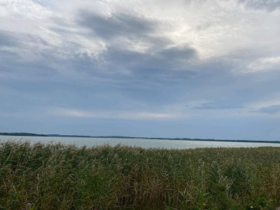Holiday house Gemütliches Ferienhaus in Asserbo - Outdoor photo 41