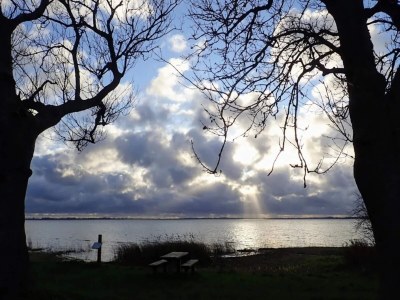 Holiday house Gemütliches Ferienhaus in Asserbo - Outdoor photo 42