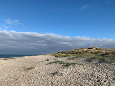 Holiday house Gemütliches Ferienhaus in Asserbo - Outdoor photo 44