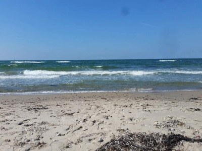 Holiday house Gemütliches Ferienhaus in Asserbo - Outdoor photo 48