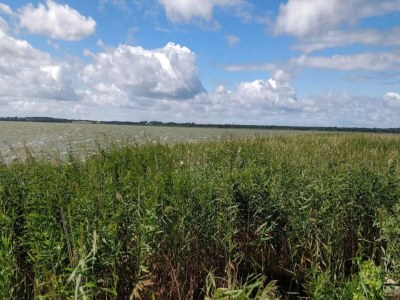 Holiday house Gemütliches Ferienhaus in Asserbo - Outdoor photo 49