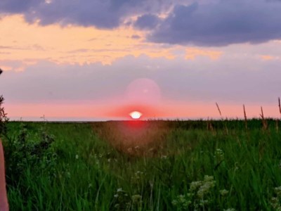 Holiday house 6 Personen Ferienhaus in Skjern-By Traum - Outdoor photo 3