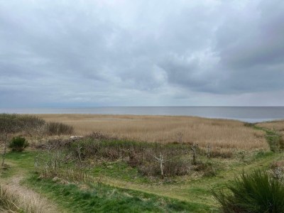 Holiday house 6 Personen Ferienhaus in Skjern-By Traum - Outdoor photo 6