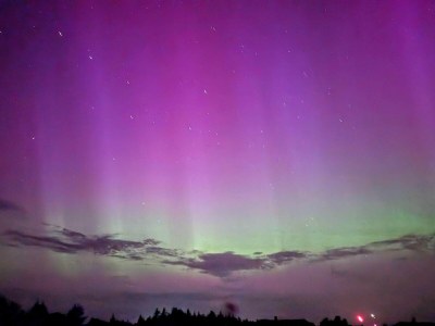 Holiday house 6 Personen Ferienhaus in Skjern-By Traum - Outdoor photo 8