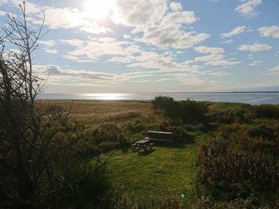 Holiday house 6 Personen Ferienhaus in Skjern-By Traum - Outdoor photo 9