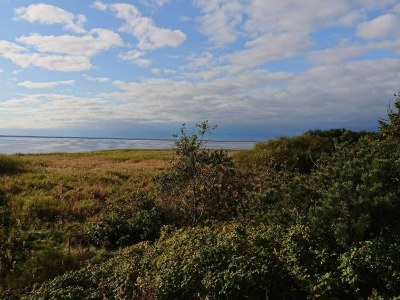 Holiday house 6 Personen Ferienhaus in Skjern-By Traum - Outdoor photo 12