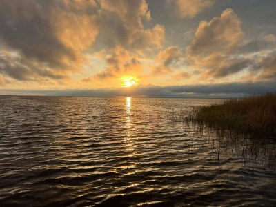 Holiday house 6 Personen Ferienhaus in Skjern-By Traum - Outdoor photo 14