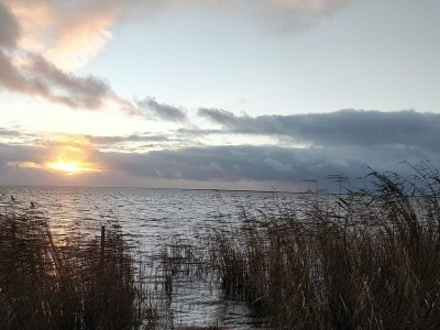 Holiday house 6 Personen Ferienhaus in Skjern-By Traum - Outdoor photo 16