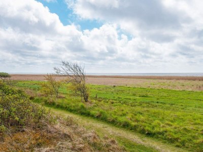 Holiday house 6 Personen Ferienhaus in Skjern-By Traum - Outdoor photo 19