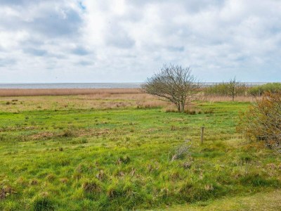 Holiday house 6 Personen Ferienhaus in Skjern-By Traum - Outdoor photo 39