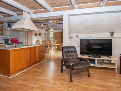 Holiday house 6 Personen Ferienhaus in Skjern-By Traum - Outdoor photo 41