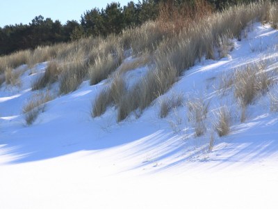 Holiday house Doppelhaushälfte Dünenhaus I, Trassenheide - Environment photo 49