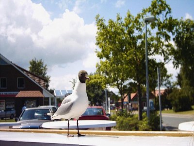 Holiday house Ferienhaus, Burhave - Outdoor photo 6