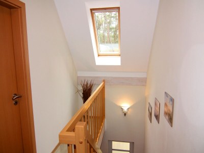 Holiday house Doppelhaushälfte Ostseehaus I in Trassenheide - Features photo 6