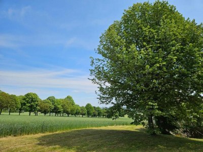 Holiday house Ferienhaus in Puygareau bei Poitiers - Environment photo 18
