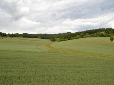 Holiday house Ferienhaus in Puygareau bei Poitiers - Environment photo 20