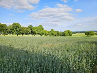Holiday house Ferienhaus in Puygareau bei Poitiers - Environment photo 26
