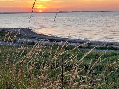 Holiday house 10 person holiday home in Løgstør-By Traum - Outdoor photo 35