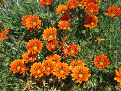 Holiday house Casa Rollwek - Outdoor photo 6