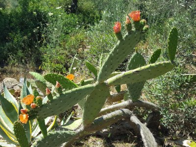 Holiday house Casa Rollwek - Outdoor photo 7