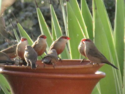 Holiday house Casa Rollwek - Outdoor photo 11