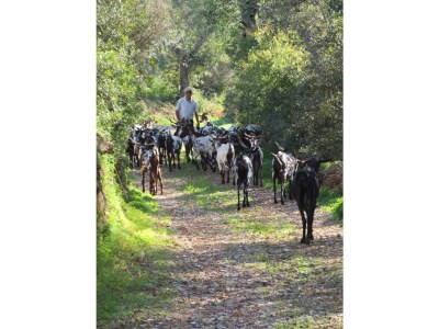 Holiday house Casa Rollwek - Environment photo 23