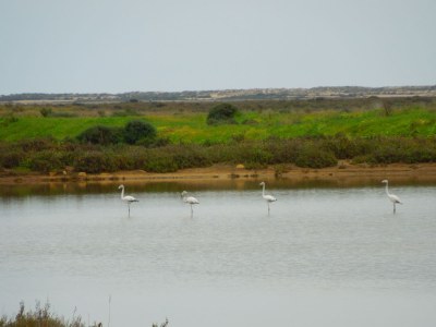 Holiday house Casa Rollwek - Environment photo 24