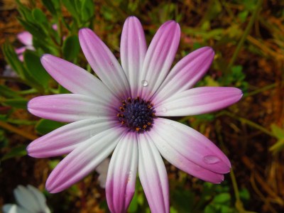 Holiday house Casa Rollwek - Environment photo 25