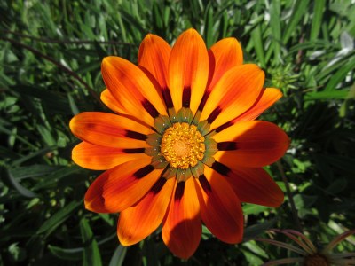 Holiday house Casa Rollwek - Environment photo 26