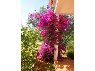 Holiday house Casa Rollwek - Environment photo 27