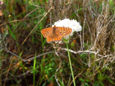 Holiday house Casa Rollwek - Environment photo 28