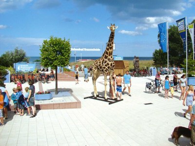 Holiday house Doppelhaushälfte Ostseehaus II, Trassenheide - Environment photo 39